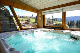 Domaine de la boiselière - Saint-Maurice Sur Moselle - Photo - Jacuzzi